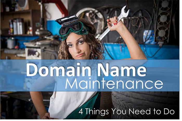 domain name maintenance