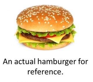 Actual-Hamburger.jpg